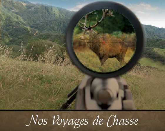 Nos Voyages de Chasse