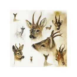 Serviettes de table en papier Brocard