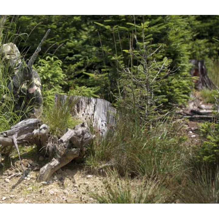 VESTE X-JAGD BETHEL WOODLAND