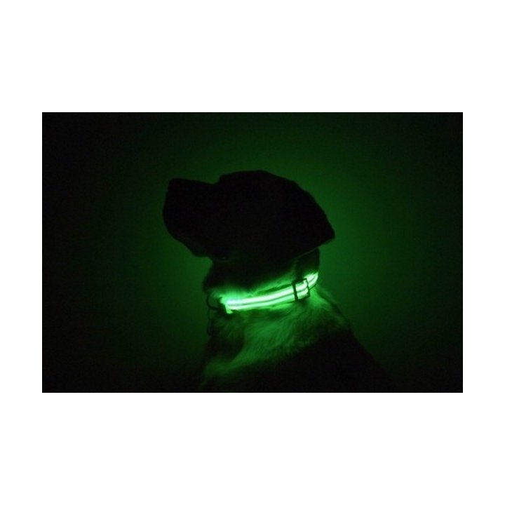 Collier pour chien phosphorescent 45 cm ORANGE