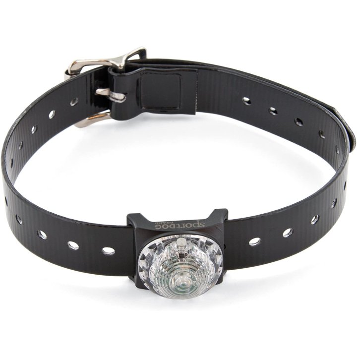 Sport DOG - Localisateur Lumineux pour Chien