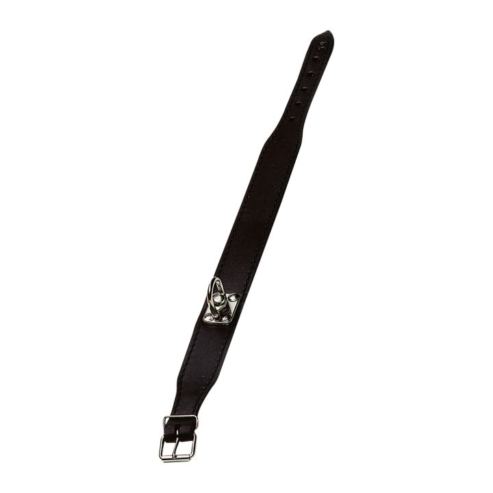 Collier recherche au sang
