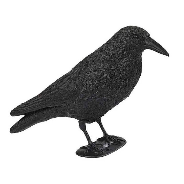 Appelant Corbeau simple plastique
