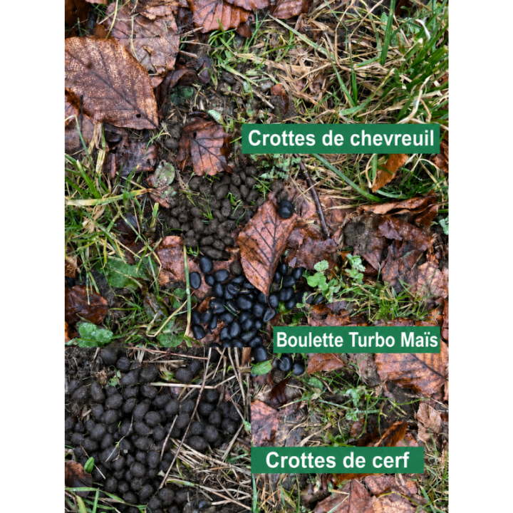 Boulettes Turbo Maïs 3 kg et 8 kg | Espace Chasse