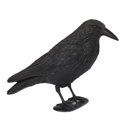 Appelant Corbeau Floqué
