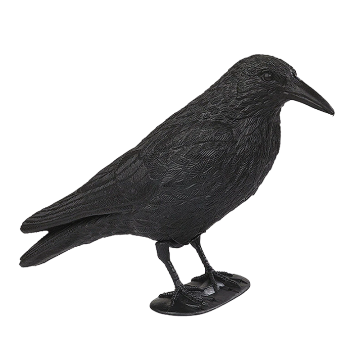Appelant Corbeau Floqué