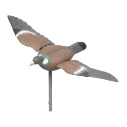 Pigeon à ailes battantes 63 cm