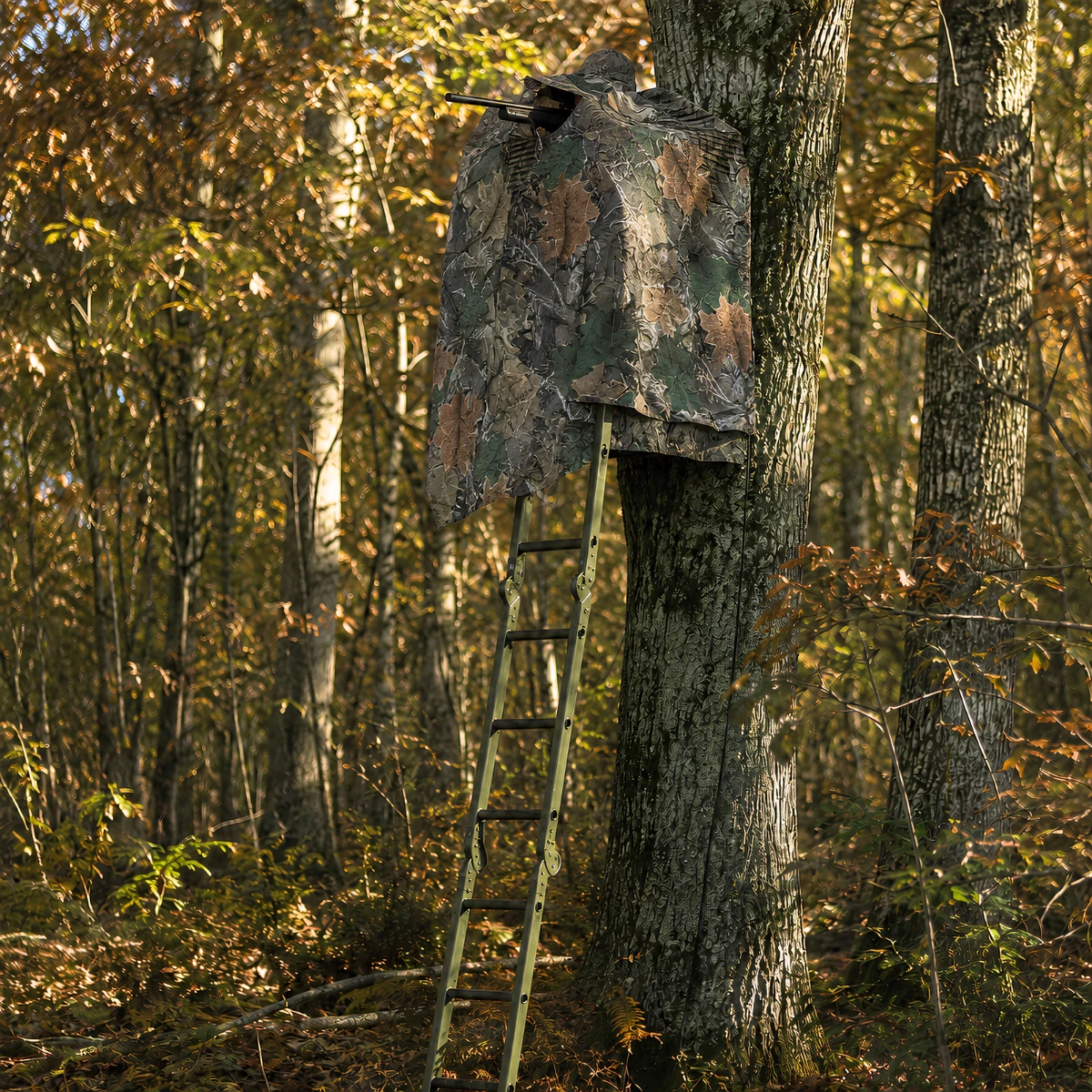 CAMOUFLAGE & FILETS